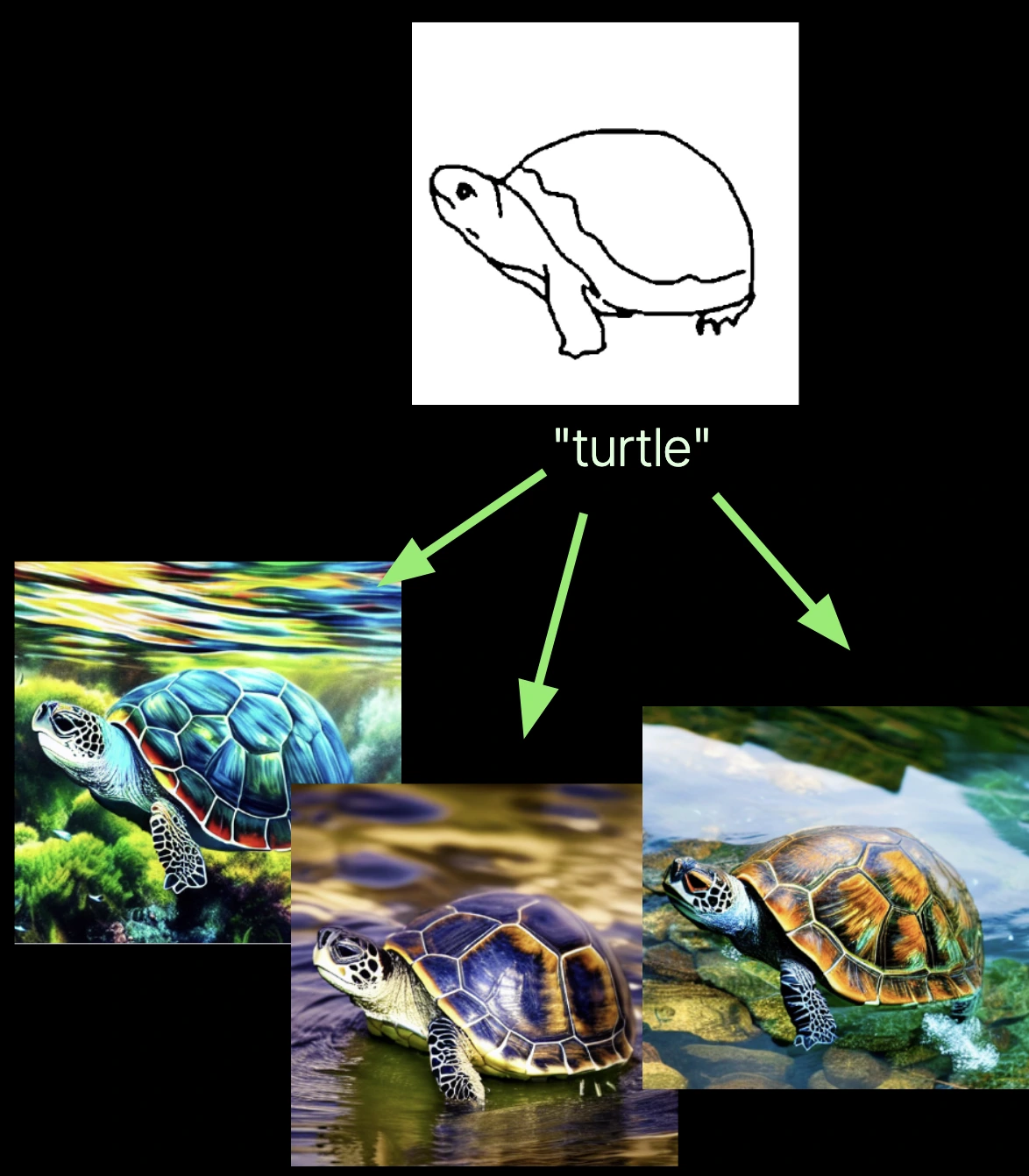 A line drawing of a turtle is converted into images of turtles with the same structure