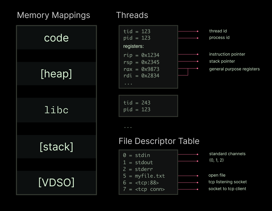 Diagram showing the internals of a Linux process as a data structure - memory mappings, thread state, file descriptor table.